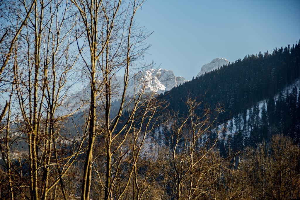 Dolina Resort Zakopane Kościelisko Cameră foto